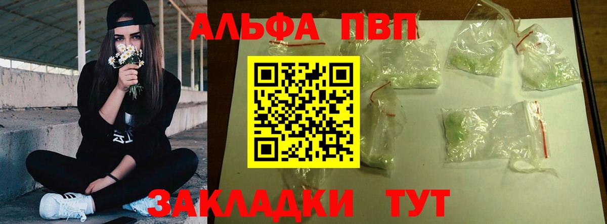 А ПВП СК КРИС Будённовск