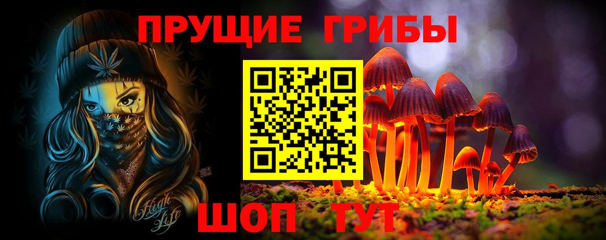 Псилоцибиновые грибы Magic Shrooms Будённовск